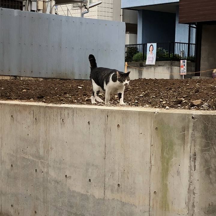 B202105a 08b9 44db 8a88 0dbda2056898 1535847167079