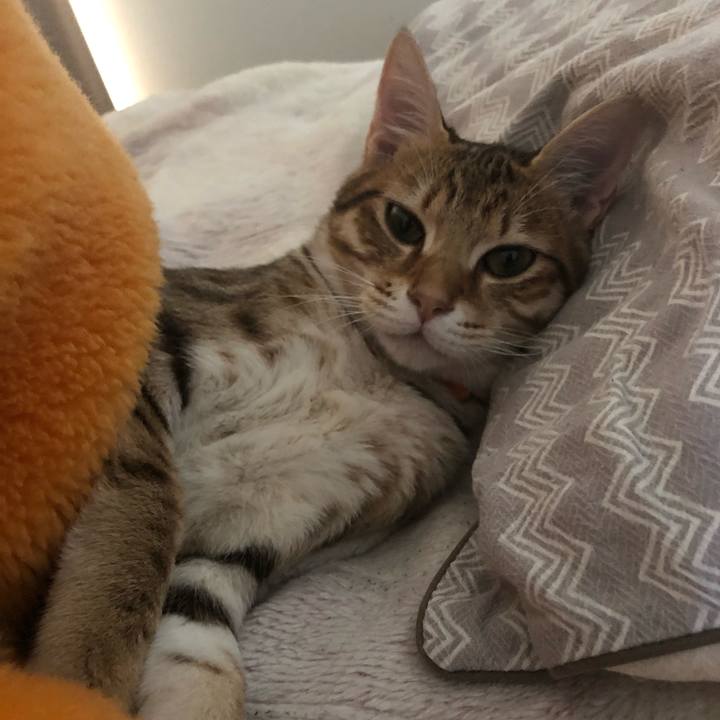 B20238a8 b28d 4343 99df 48c73a29ee8f 1551962335521