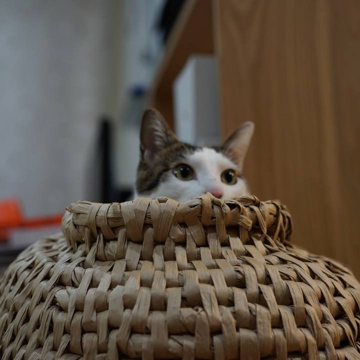 B2023f7c 94f3 4da3 a398 884a29f36bef 1550015663561