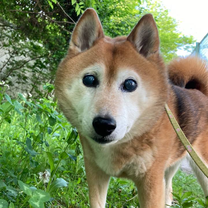 B202497b d104 4411 8538 4777877102ec 1714122436209