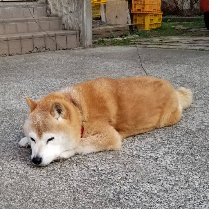 B2024dfe 597c 4b2e bc9b 63e1dc734619 1712219432345