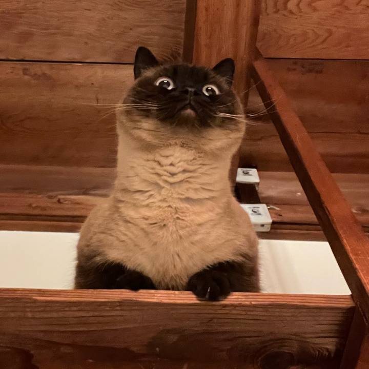 B202546f 52a9 4868 89b3 756c9f48adea 1715857118247