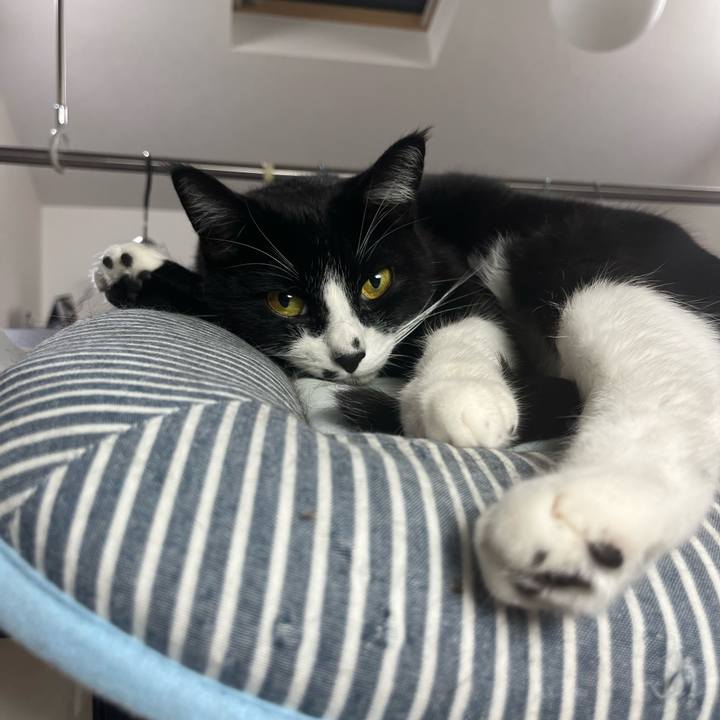 B2026903 b713 4007 a465 5b15523ffecb 1725745046458