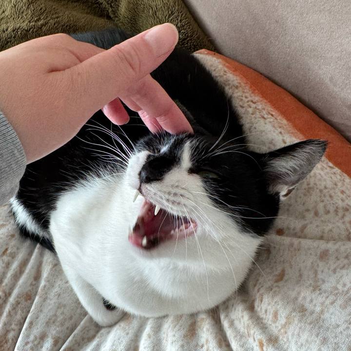 B20293a4 5ed3 4ee2 a620 21773be46024 1767312088768