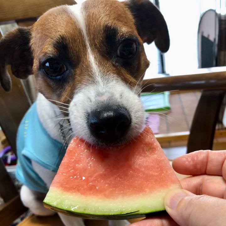 B202ab81 5e9a 4aa1 a38d 5f784ca3760b 1597055301246