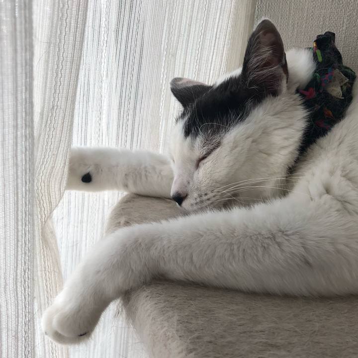 B202ba71 ffc2 413a aa0b b5b4260dbf00 1529968954685