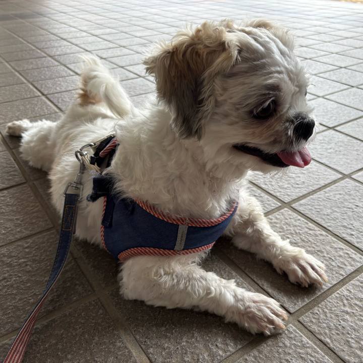 B202d000 2559 49c9 9b4b 926f94f8c509 1762811509655