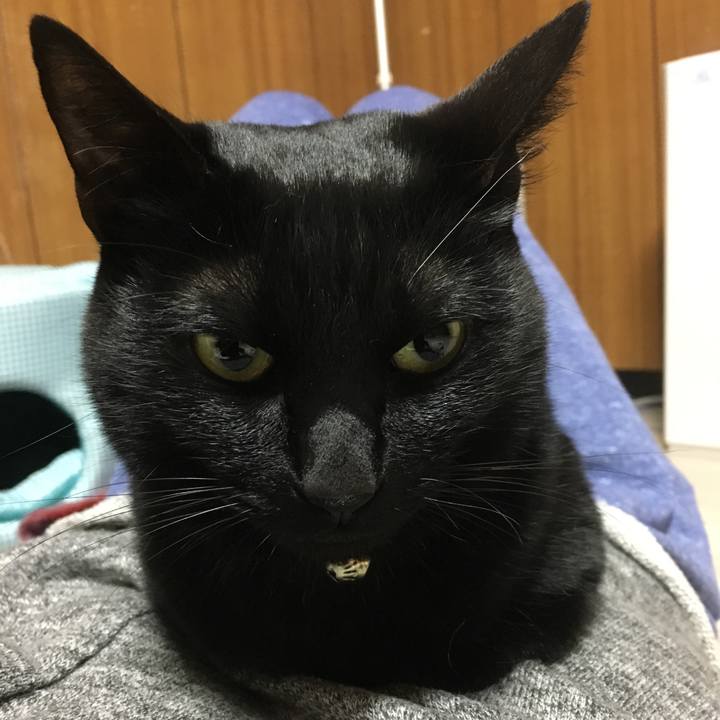 B202f4e6 e168 4a53 a73e 80417ed0ee42 1519994266985