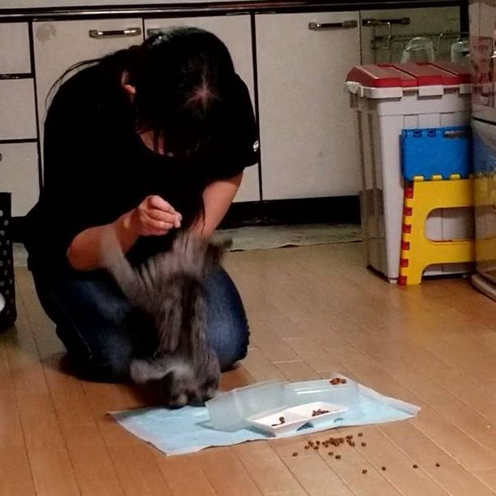 B2031656 8a1a 40c8 b7f6 ff4b47d220bf 1666094990029