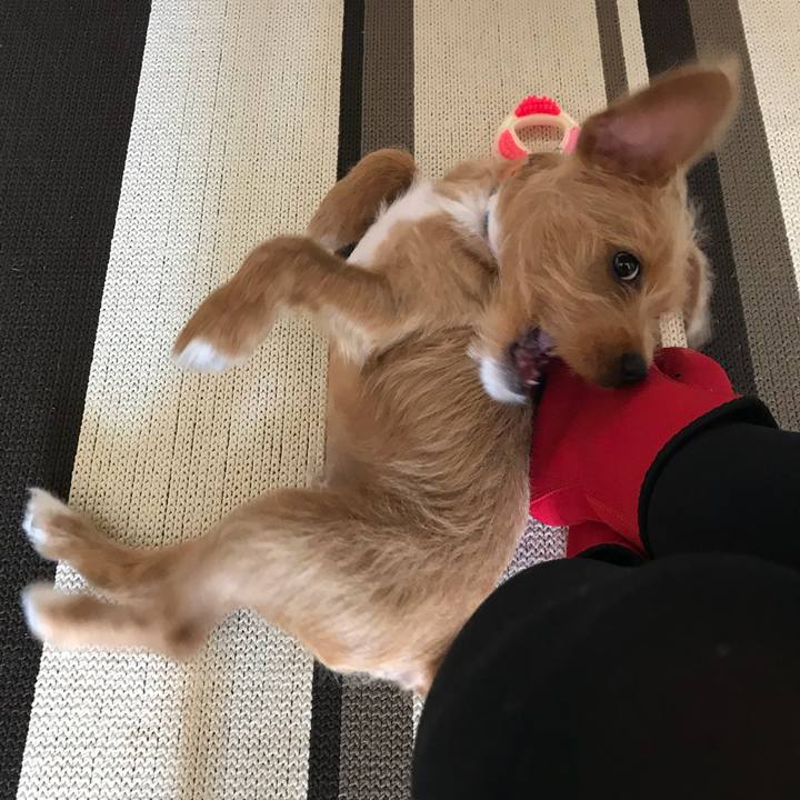 B203361a 2e7f 4e95 be32 6807bc487e69 1520307360953