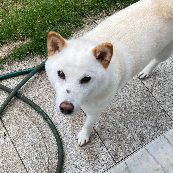 B20338cb c9ff 401b b14d 5974c75b4c89 1625809389253