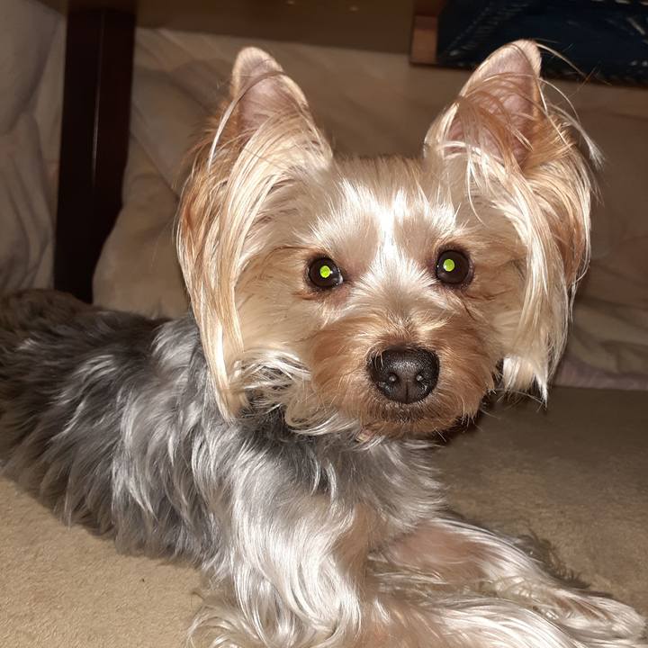 B2034a17 d0ef 4cad 93c6 1bf441d01a16 1577751767169