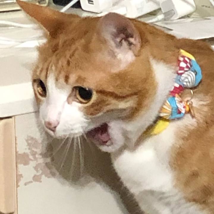 B2034a80 0e78 48c6 9c96 302cc5962ab6 1561032233863