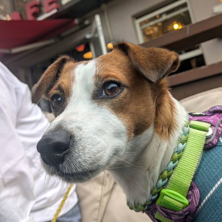 B203763f 7d71 4d4b bbea d389b5c98540 1731752975393