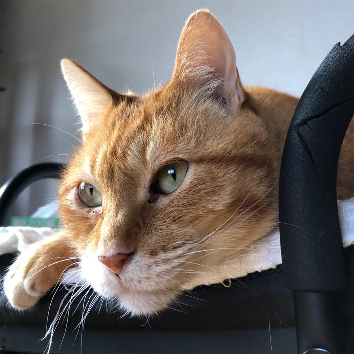 B203bb3a 3fdc 43c1 b816 6268aa9bdf52 1654726501109