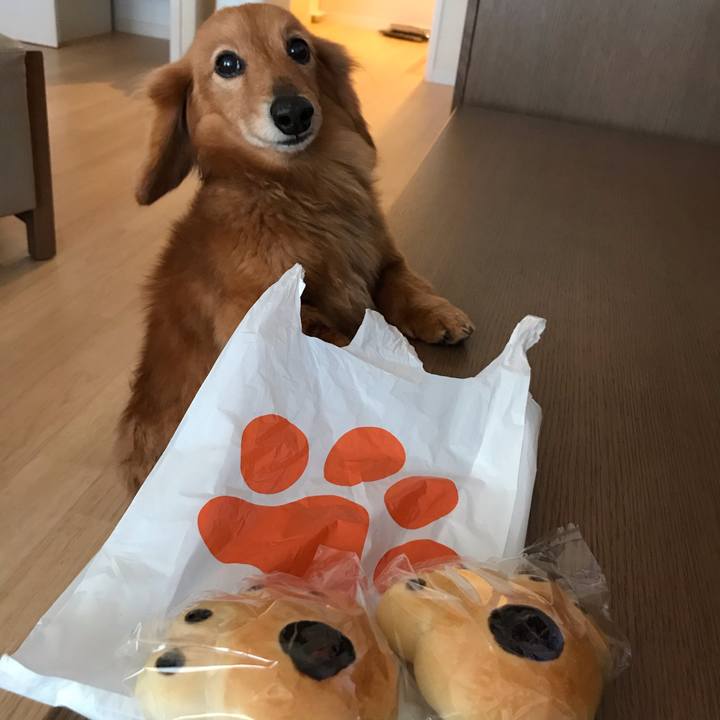 B203c8ed a9f3 445b 9717 0ecba2cdead6 1552114787137