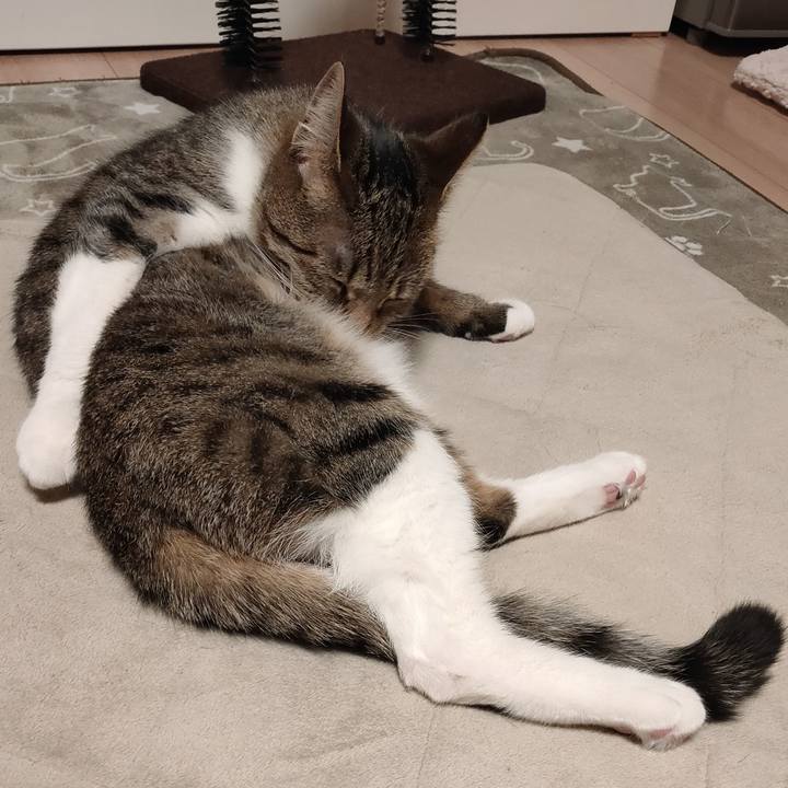 B203f455 21b0 4d0a a3d4 ce0b22eb1224 1681900907816