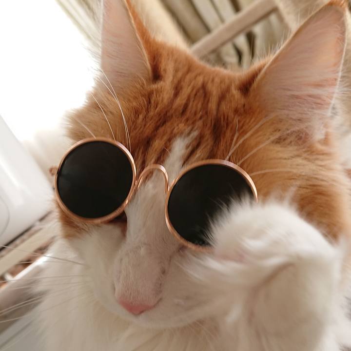 B203fc44 6e1b 420a 8004 ea4dba271093 1546566820131