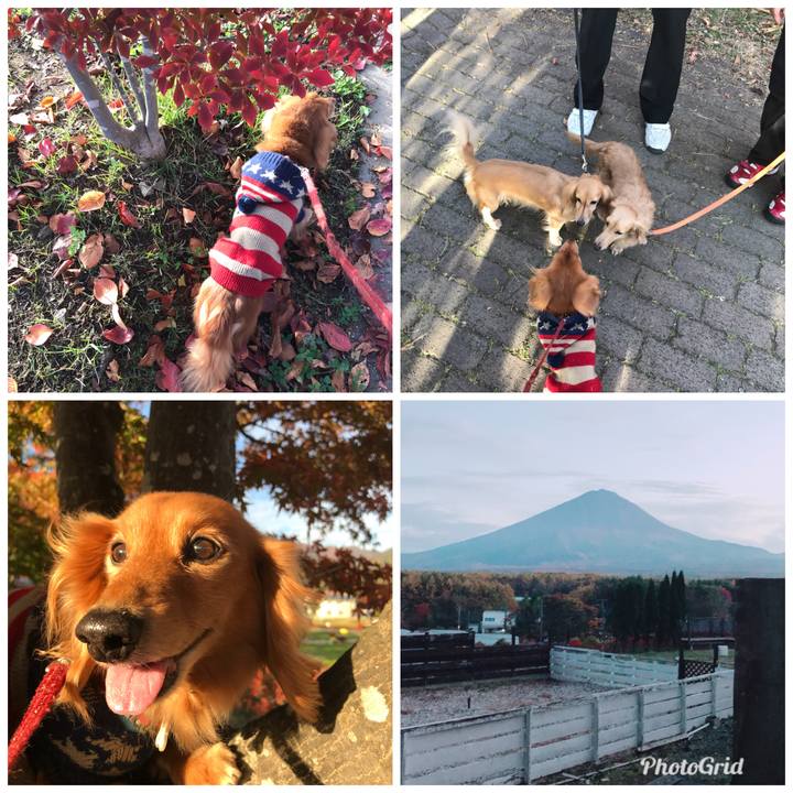 B204b201 4a11 48e8 9f5d c81163ab10ac 1509696821968