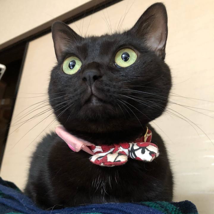 B204b79e 8f3f 4954 9421 95622cb1c839 1576882924311