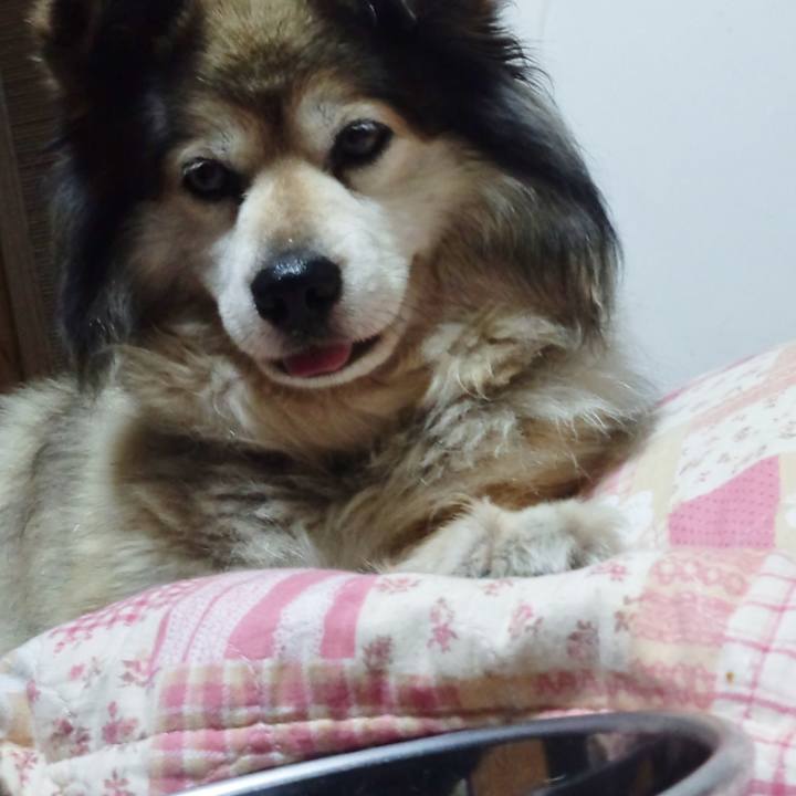 B204d12e e3f4 48a9 8c44 22309f568cf5 1567433538358