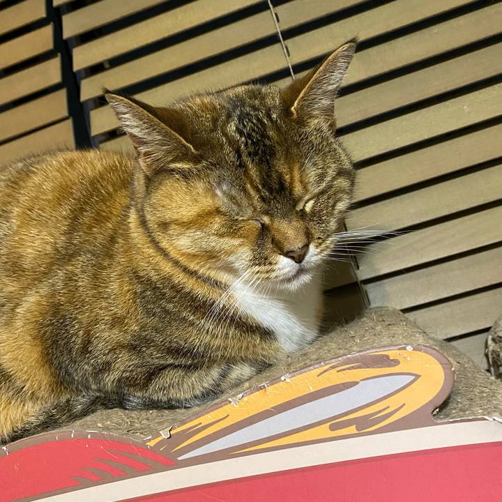 B204d24f f6aa 4421 9715 7b6eedd1e53d 1652096349972