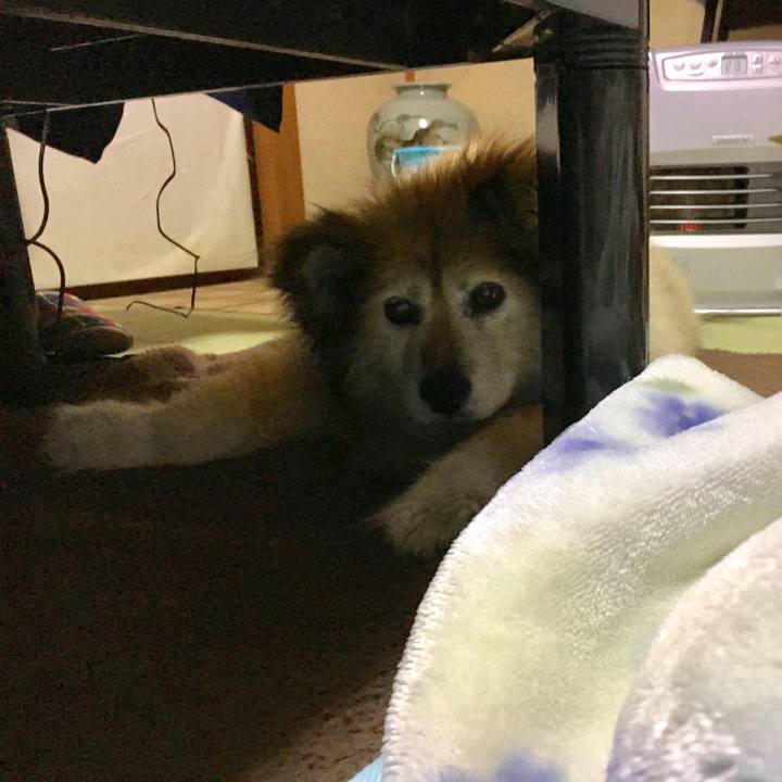 B2052828 25f4 4f9c a123 1ea3b35a0243 1571796222645