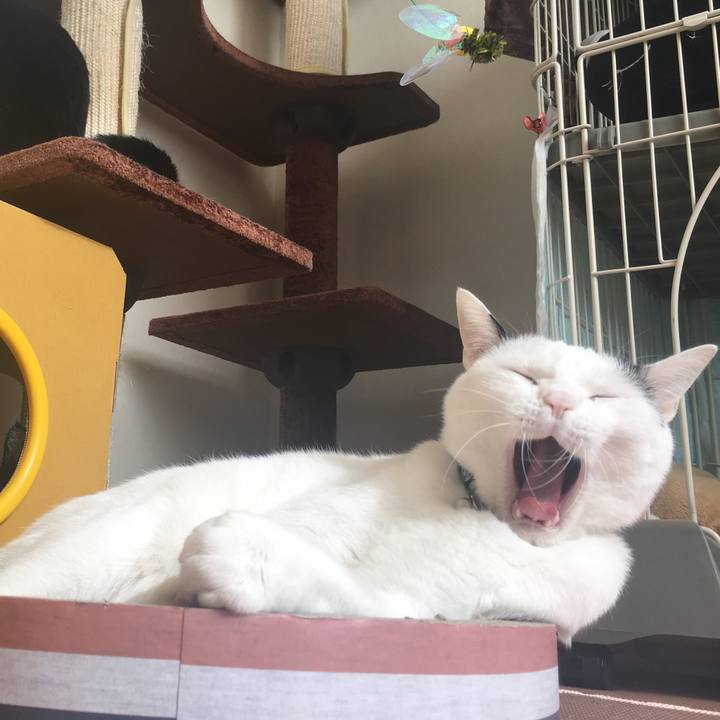 B2052f42 86a1 4fbc 9b2f 57449237f3f7 1514514935760