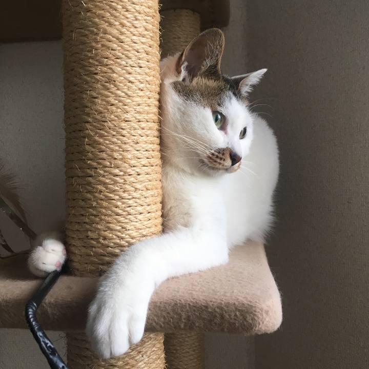 B2056075 748a 49de bc57 2d24cba4ef82 1548934776292