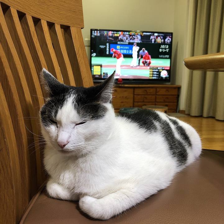 B2057f3e 309b 4911 809b 71be5c858df2 1657886950762