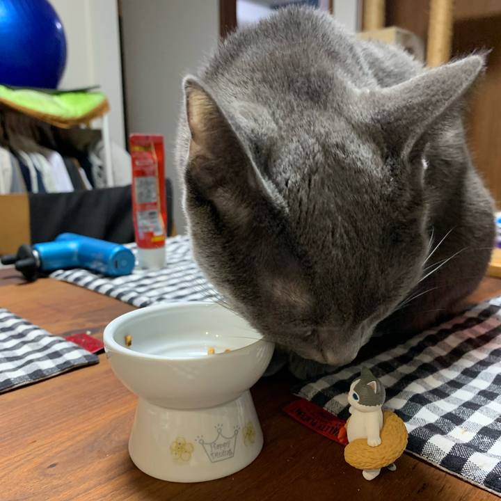 B20588ab 5174 4f86 8a7a 54ad8264d197 1670934184456