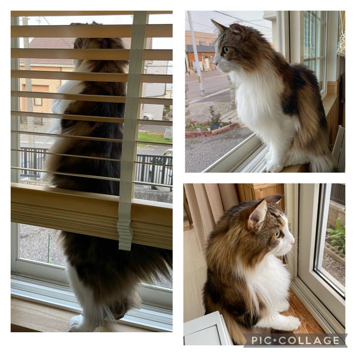 B2059b49 f38f 4729 b10a 54c5ed1c42e1 1682630223657