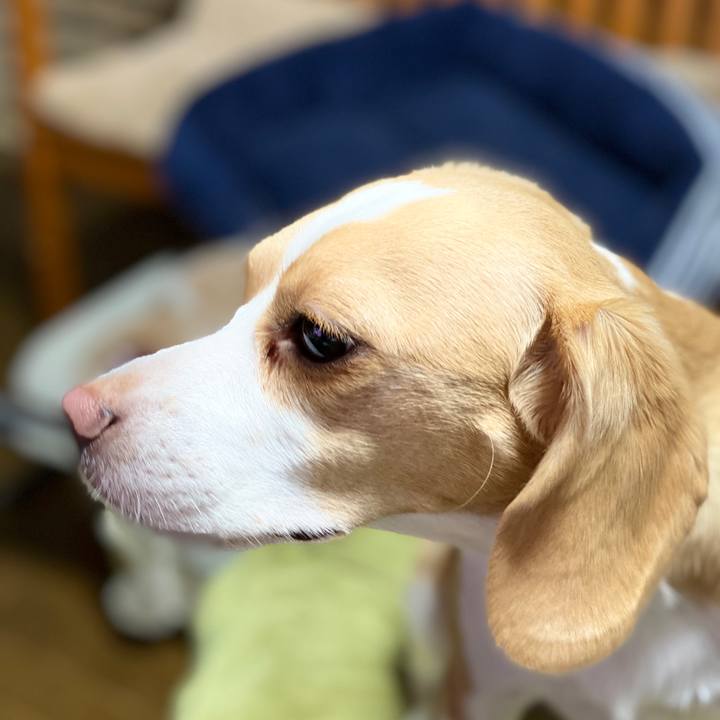 B205a6fe c96f 42df 8a18 21fa6837dab5 1569068010300