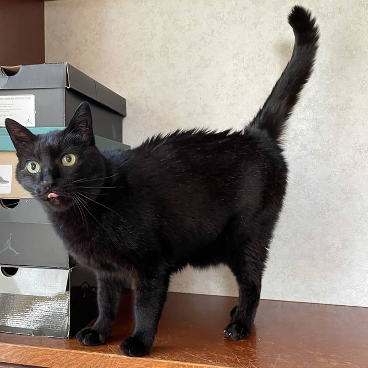 B205e1b5 6b93 451b be8d 229466dbfc06 1618452280003