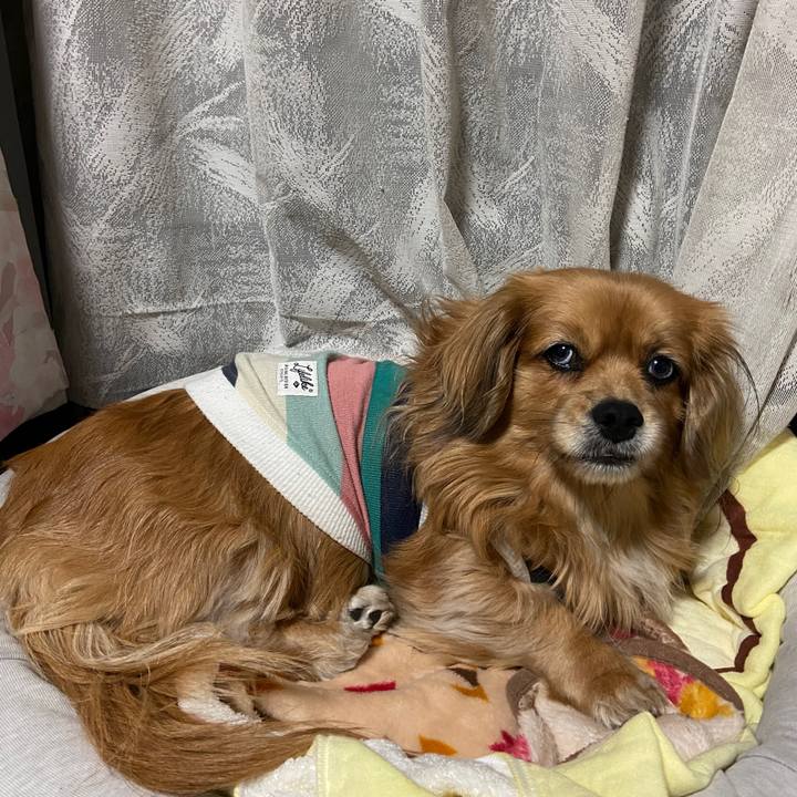 B205e5d8 9848 4356 97ae c5f6684c18a6 1675817949063