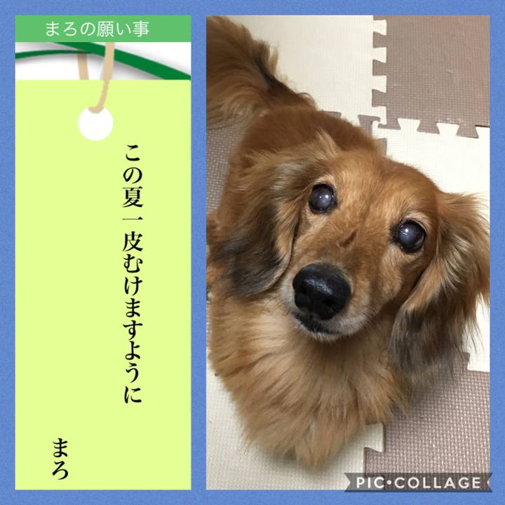 B205ed39 61c1 4b7b 9254 3f11d905e76f 1594130809801