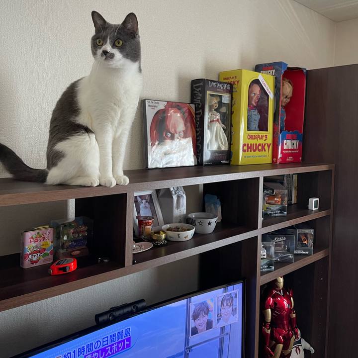 B205f197 b788 44e4 8d19 e7d17eccc5a3 1658634039965