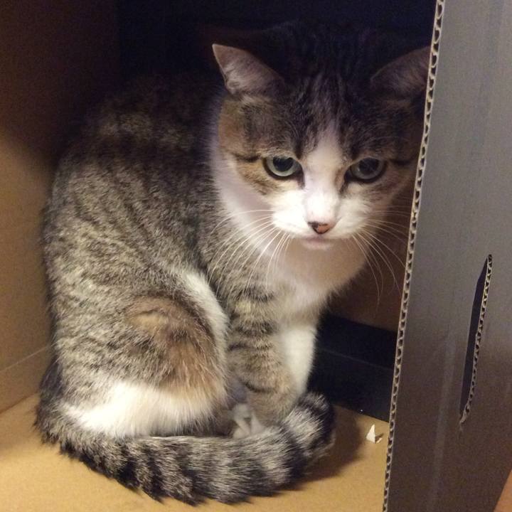 B20609e8 e89a 4059 92ff 7ba8f31e81ad 1771887223685