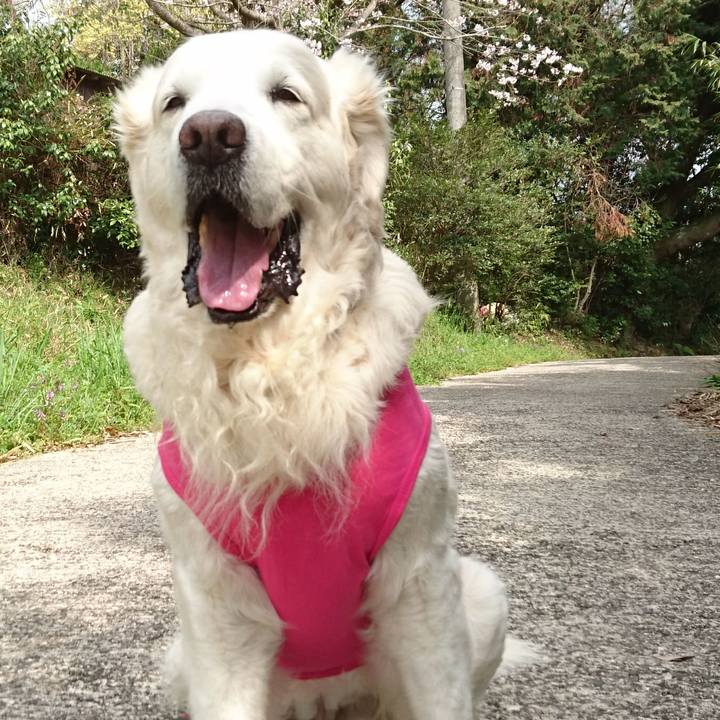 B2061e56 2897 4805 b6d3 8ca3b5931459 1554729323172