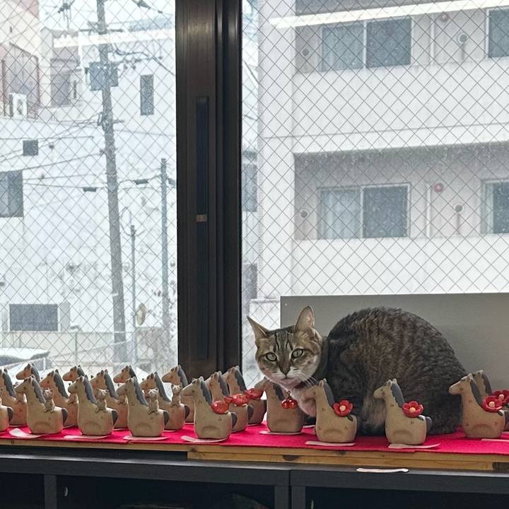 B2067819 c313 49ac 9a12 f05d88a53801 1766751669070