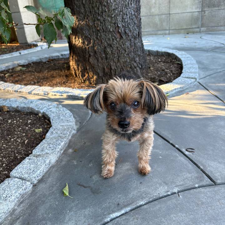 B206d2dc 3ff9 4b10 b4b2 bff2b4b0b855 1753396944459