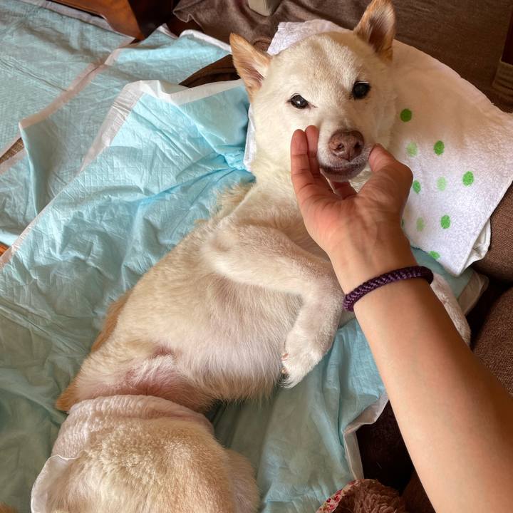 B206dbab 90ed 440c 876c 3b1ad3aee5a1 1668484720353