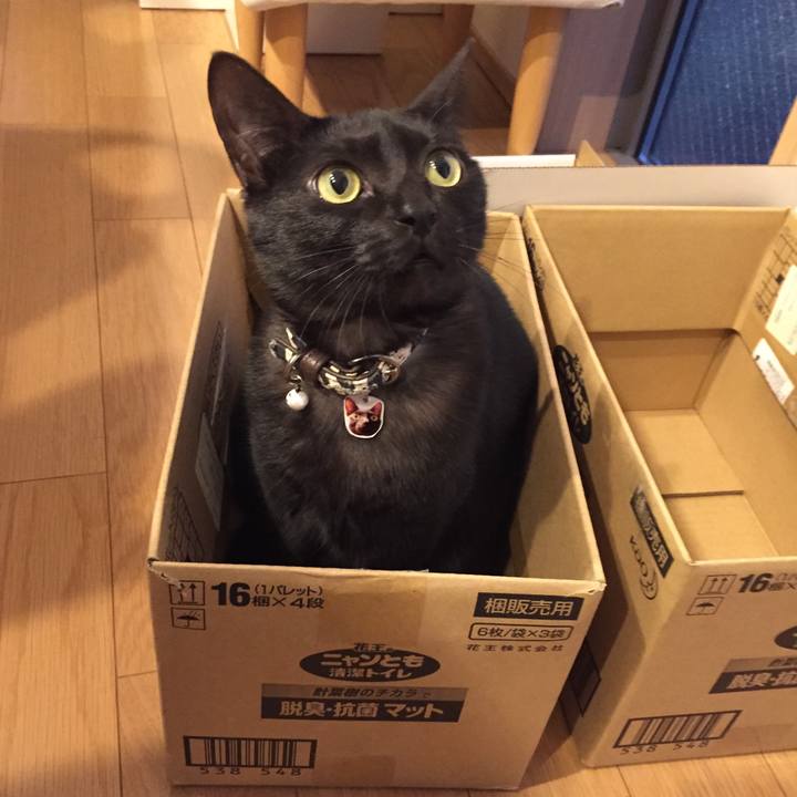 B206de3d e076 441a 96fd 2f9384d6f754 1516530094667