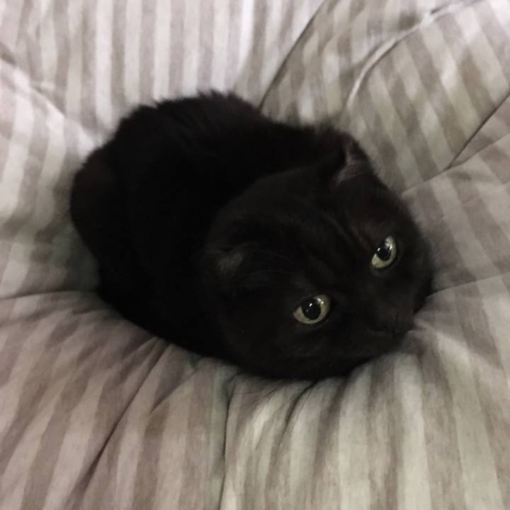 B207369e 57dd 414b 8f07 fa41009d53b0 1515062084480