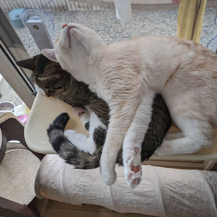 B20780d0 22ef 4b08 8915 9b44e00fa97f 1687575834363