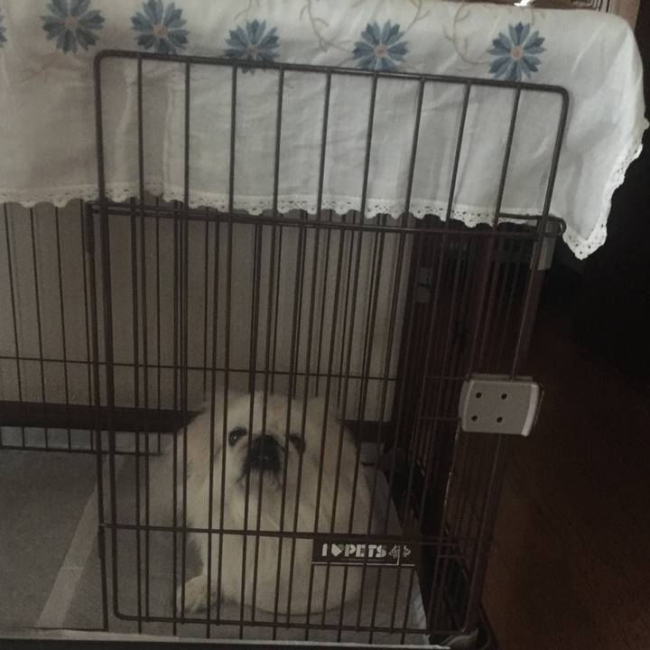 B207876d a9fc 4157 b78d 90a63ed6f517 1556693914553