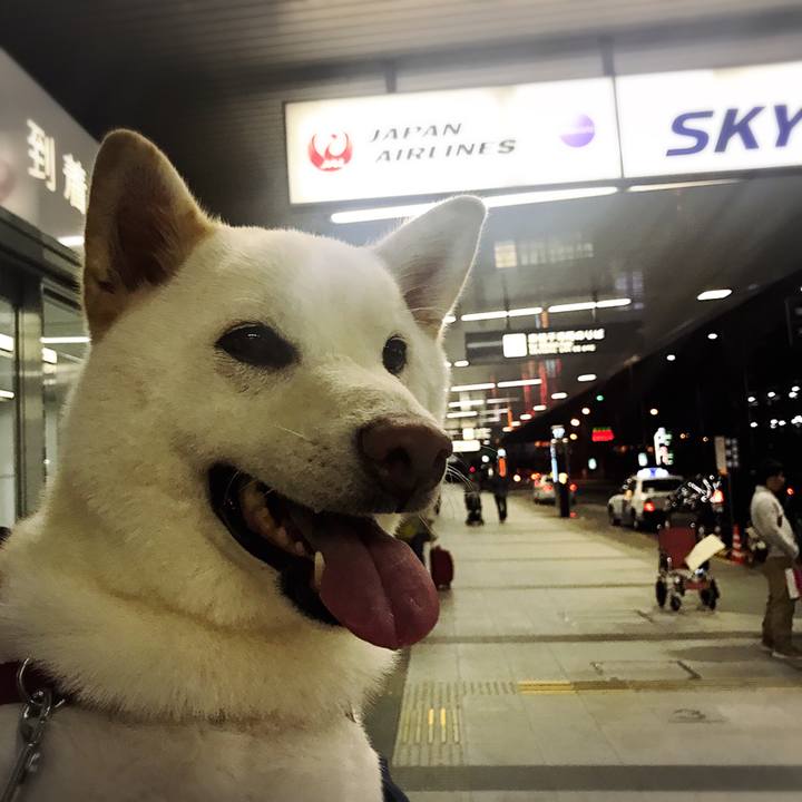 B207984a 24e1 445e b253 5e0e9b452a66 1509871762911