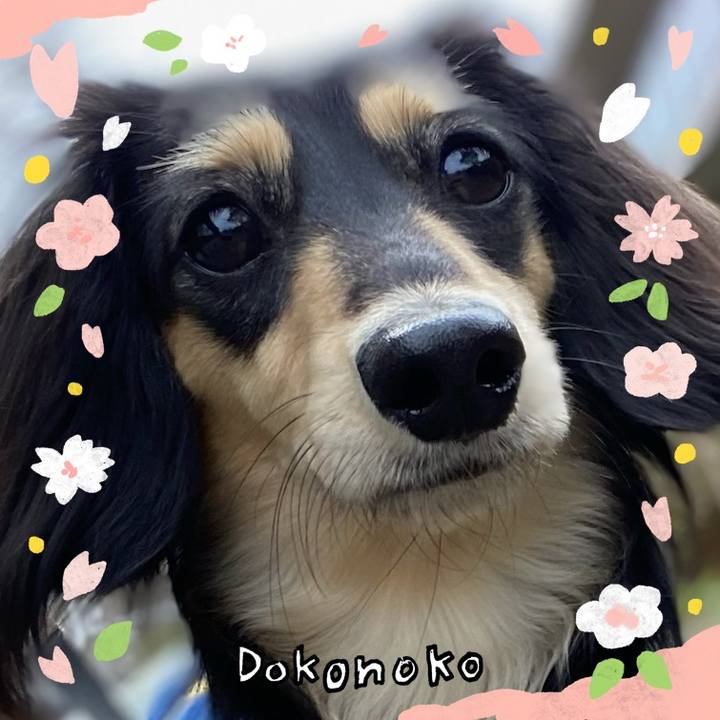 B2079ca8 d237 43f4 a60c 305f8f419ade 1711253937052