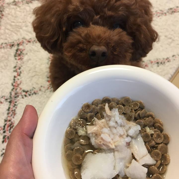 B207ac38 817d 4c35 8f1e 9ccf69d3d0eb 1526851571043