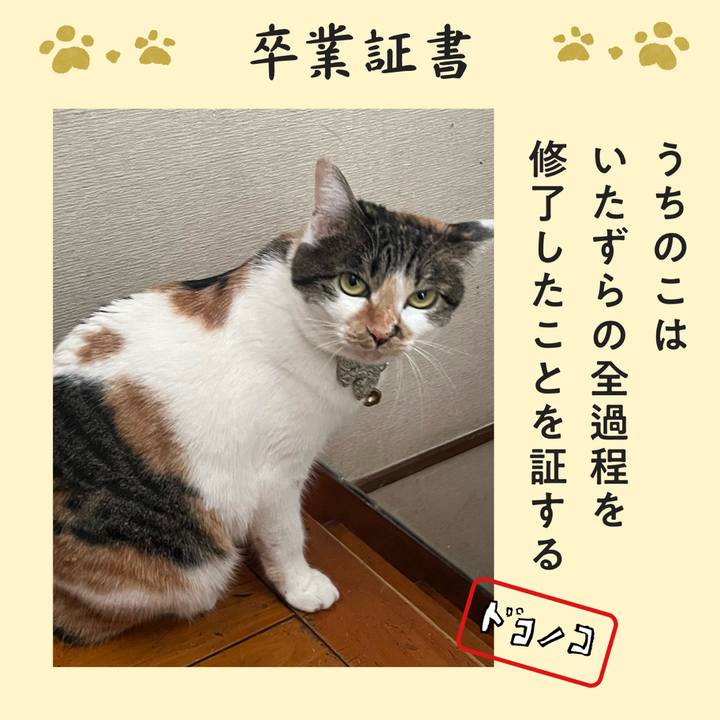 B207ffd5 a0c6 4b3d b3af 3a538d2d6136 1771825767407